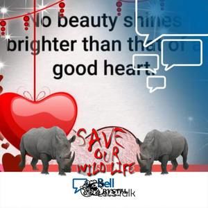 Meet your Posher, Sue